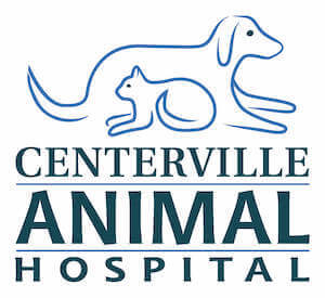 Centerville Animal Hospital