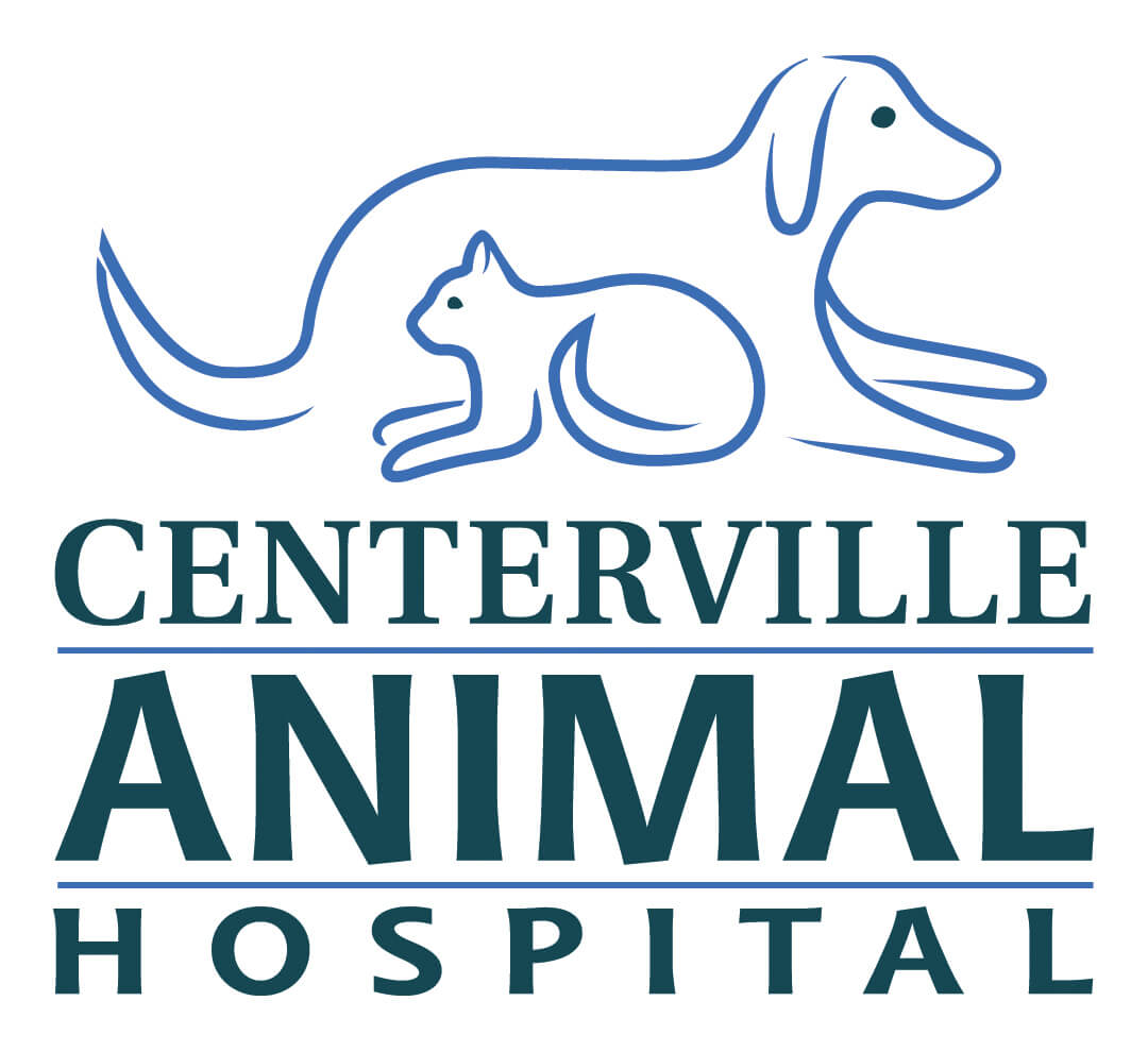 Centerville Animal Hospital 